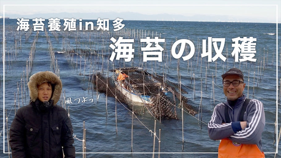 海苔養殖の動画