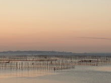 画像をギャラリービューアに読み込む, 一番摘み焼のり 三河湾 板のり10枚入